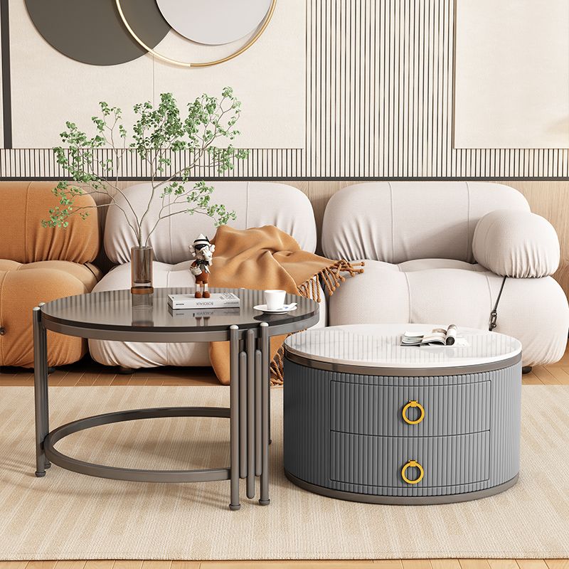Charulata Stainless Steel Frame Coffee Table for Living Room