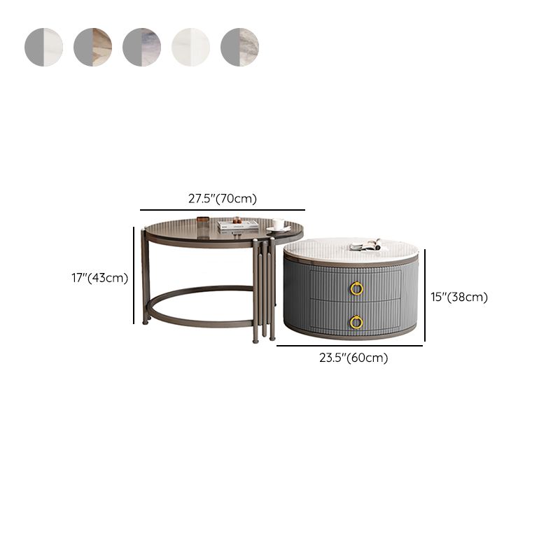 Charulata Stainless Steel Frame Coffee Table for Living Room