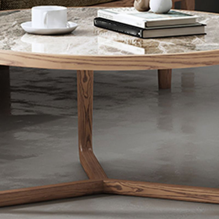 Vrishti Wooden Frame and Ceramic Marble Top Coffee Table for Living Room