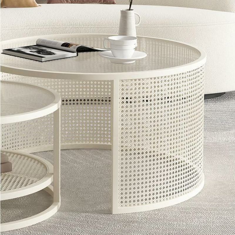 Zarnika Stainless Steel Frame Coffee Table for Living Room