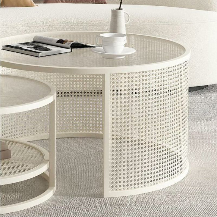 Zarnika Stainless Steel Frame Coffee Table for Living Room