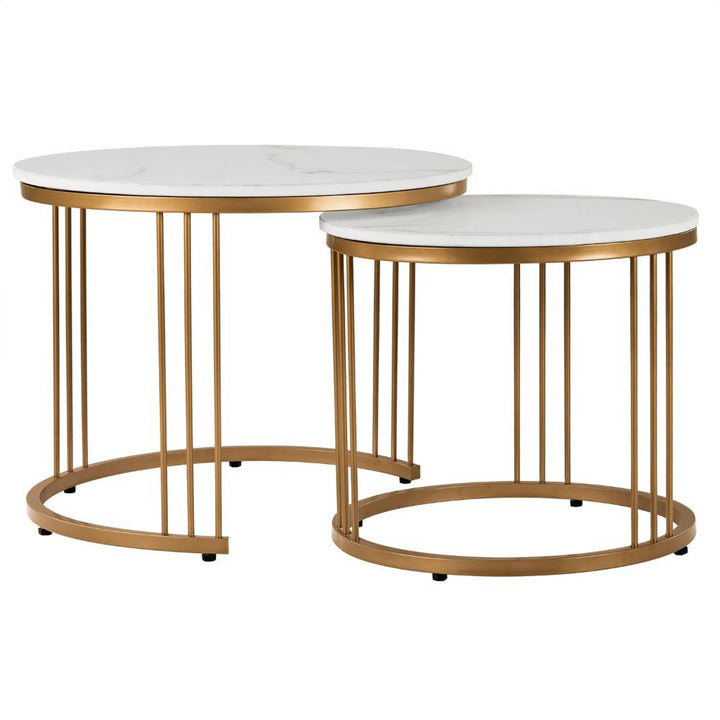 Abhipriya Metal Coffee Table