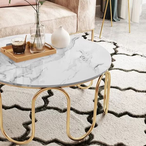 Sanvika Stainless Steel Frame and Marble Top Coffee Table for Living Room