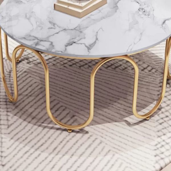 Sanvika Stainless Steel Frame and Marble Top Coffee Table for Living Room
