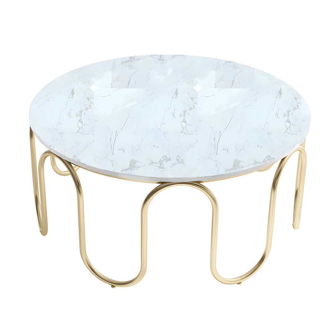 Sanvika Stainless Steel Frame and Marble Top Coffee Table for Living Room