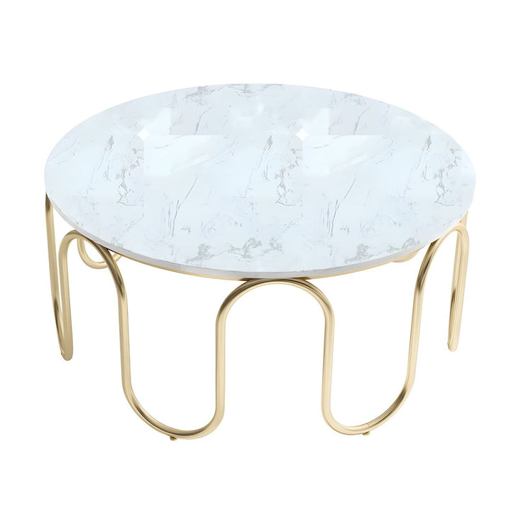 Sanvika Stainless Steel Frame and Marble Top Coffee Table for Living Room