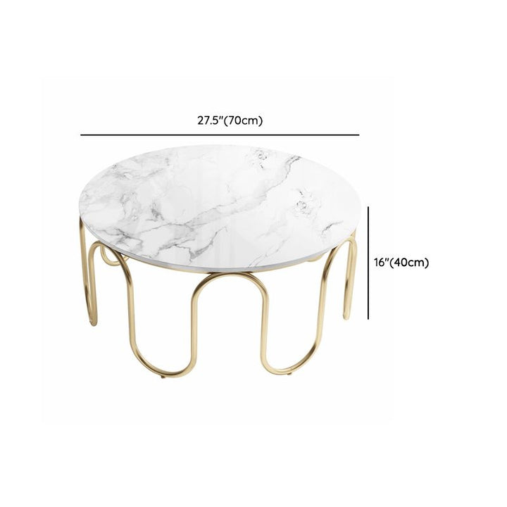Sanvika Stainless Steel Frame and Marble Top Coffee Table for Living Room