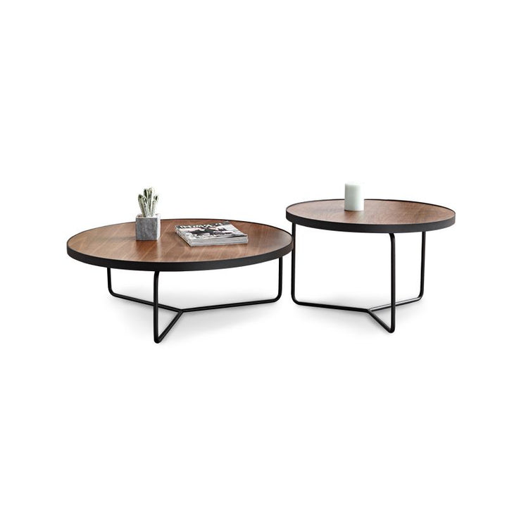 Oshin Stainless Steel Frame Coffee Table for Living Room