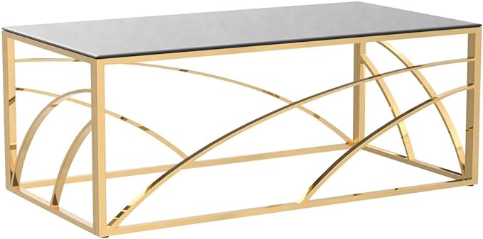 Trupti Stainless Steel Pvd Coated Coffee Table With Glass Top