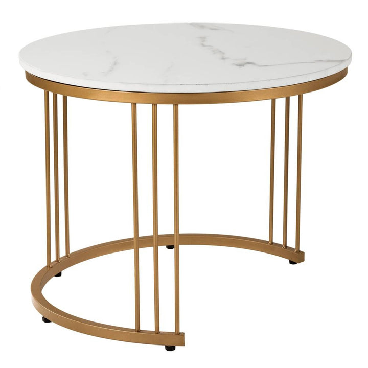 Abhipriya Metal Coffee Table
