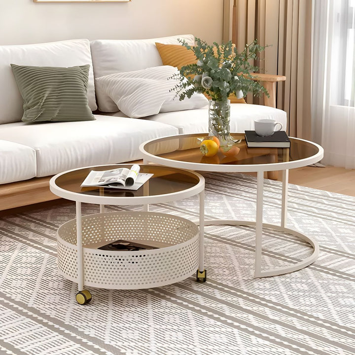 Parikshit Stainless Steel Frame Coffee Table for Living Room
