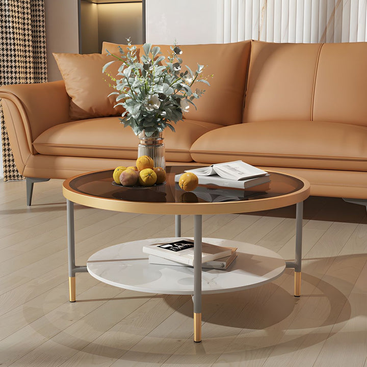 Sahil Stainless Steel Frame Coffee Table for Living Room