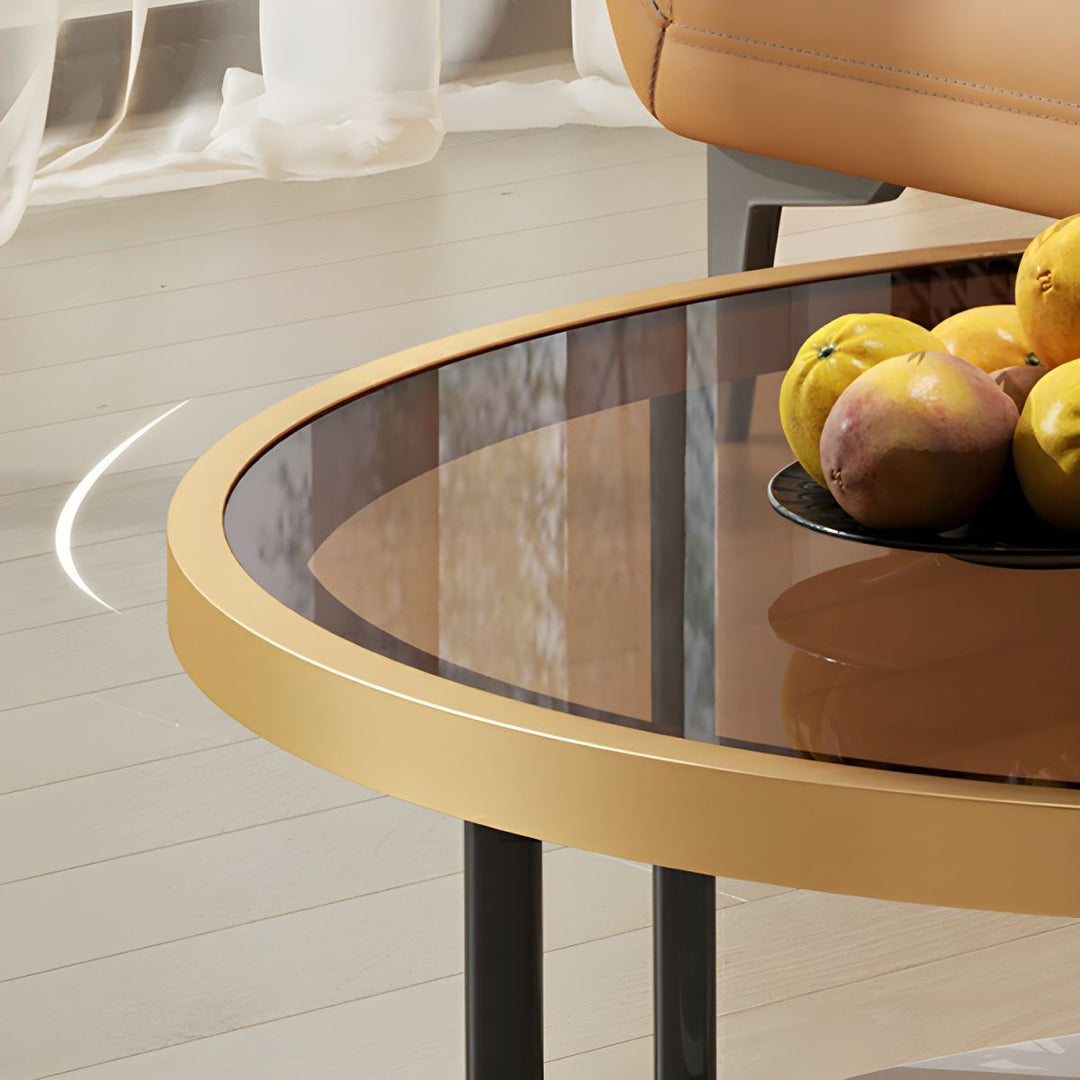 Sahil Stainless Steel Frame Coffee Table for Living Room