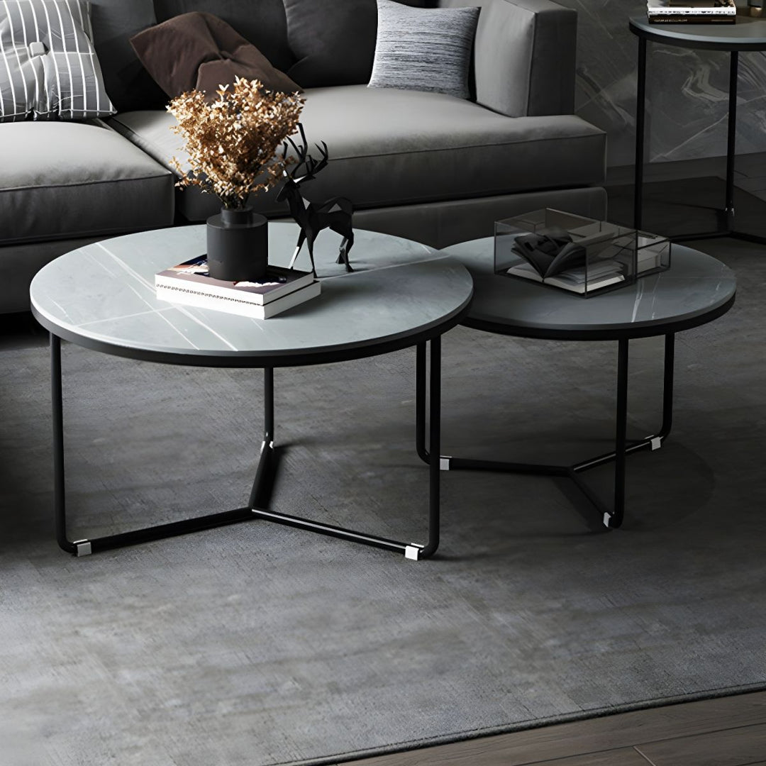 Tanay Stainless Steel Frame Coffee Table for Living Room