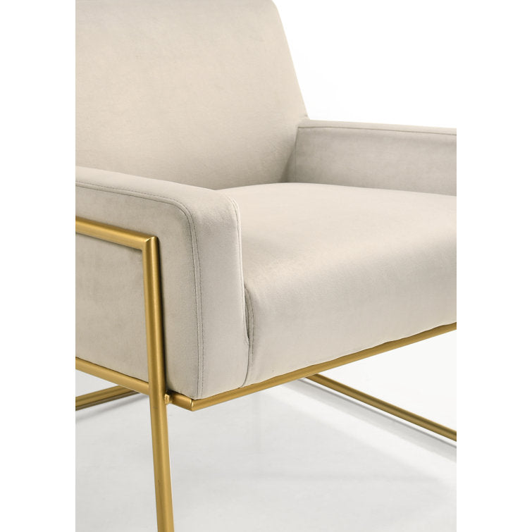 Shravi Metal and Fabric Arm Chair | Living Room Chair | Lounge Chair