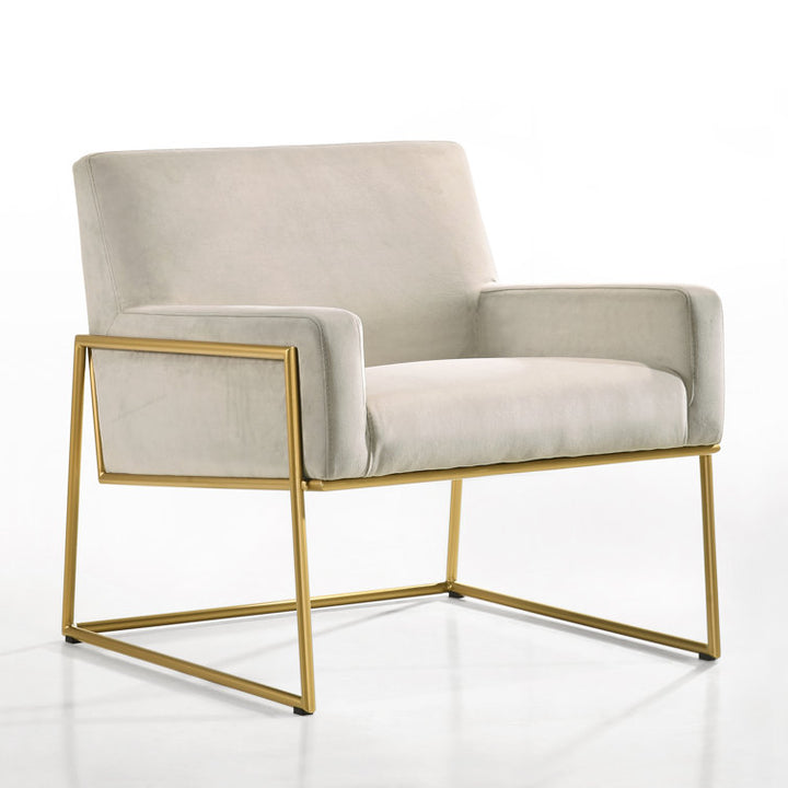 Shravi Metal and Fabric Arm Chair | Living Room Chair | Lounge Chair