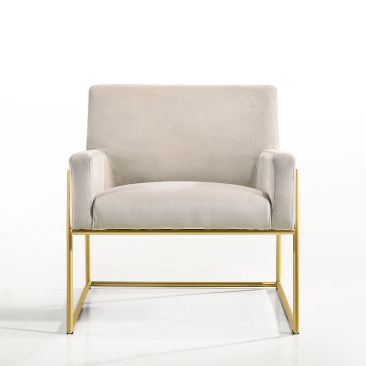 Shravi Metal and Fabric Arm Chair | Living Room Chair | Lounge Chair