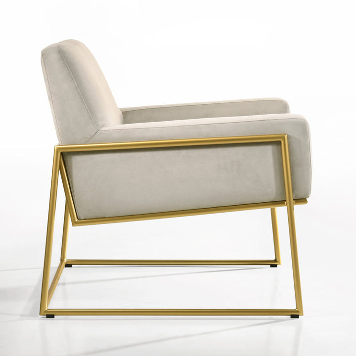 Shravi Metal and Fabric Arm Chair | Living Room Chair | Lounge Chair