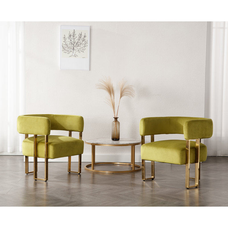 Aroosh Metal and Fabric Arm Chair | Living Room Chair | Lounge Chair