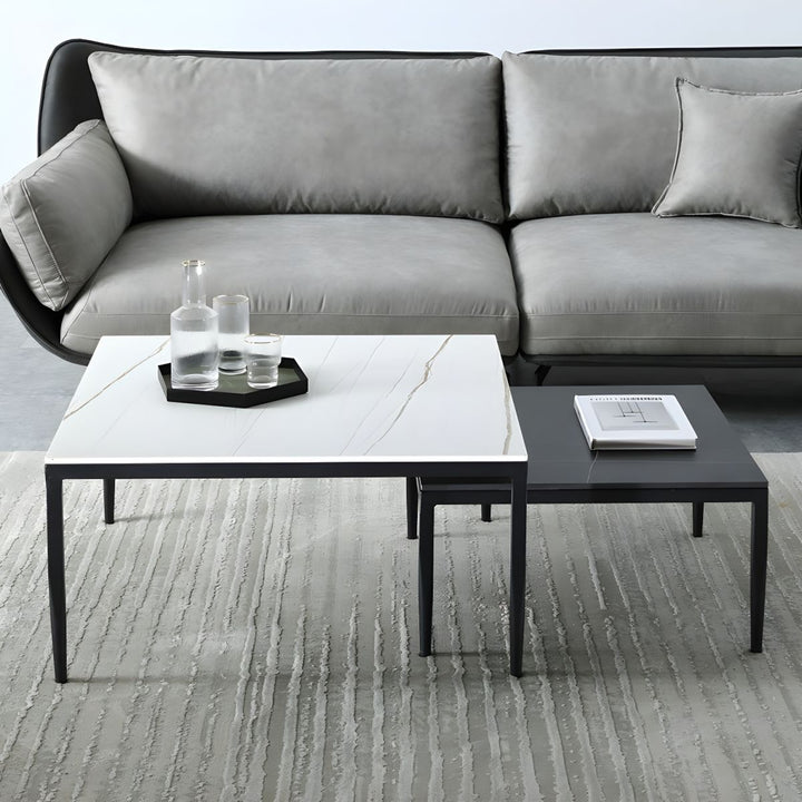 Benika Stainless Steel Frame Coffee Table for Living Room