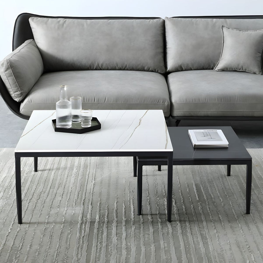 Benika Stainless Steel Frame Coffee Table for Living Room