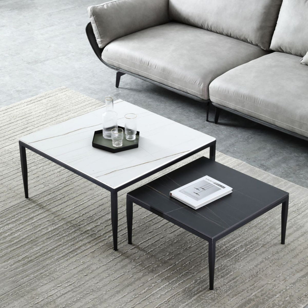 Benika Stainless Steel Frame Coffee Table for Living Room