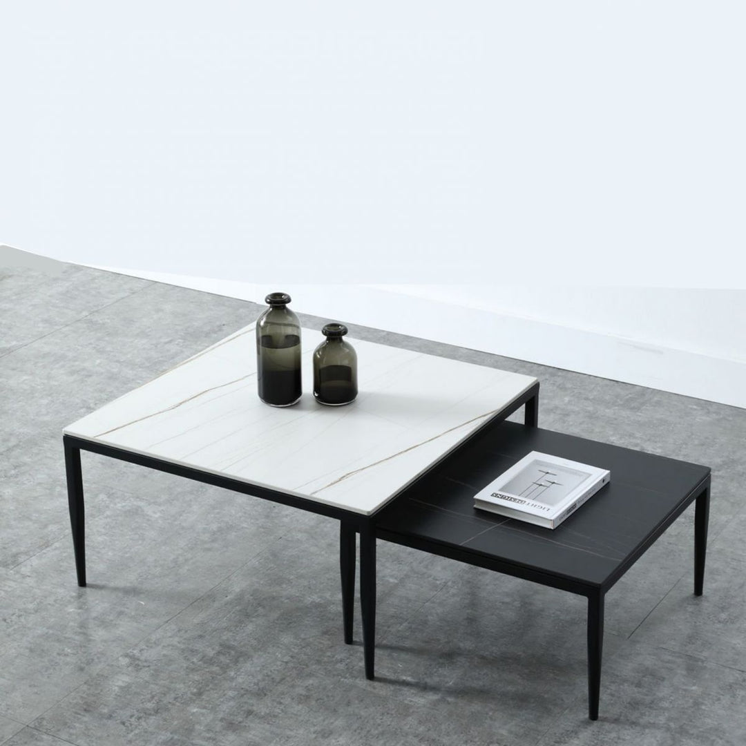 Benika Stainless Steel Frame Coffee Table for Living Room
