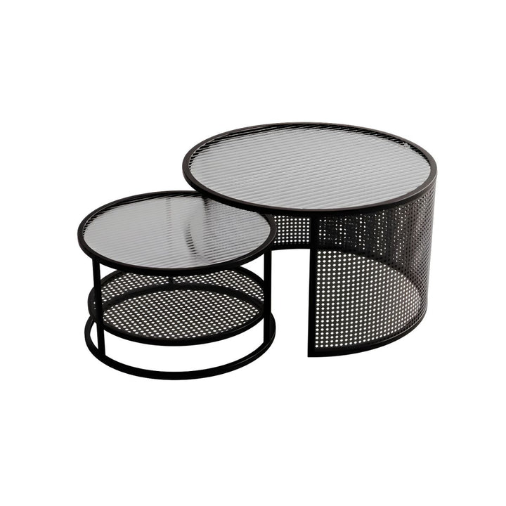 Lekha Stainless Coffee Table for Living Room