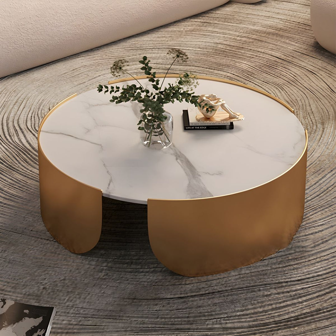 Devanshi Stainless Steel Frame Coffee Table for Living Room