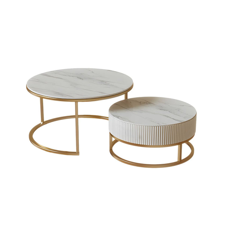 Minal Stainless Steel Coffee Table for Living Room