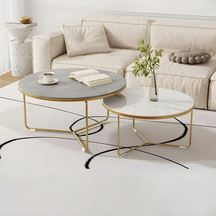 Darsh Stainless Steel Frame Coffee Table for Living Room