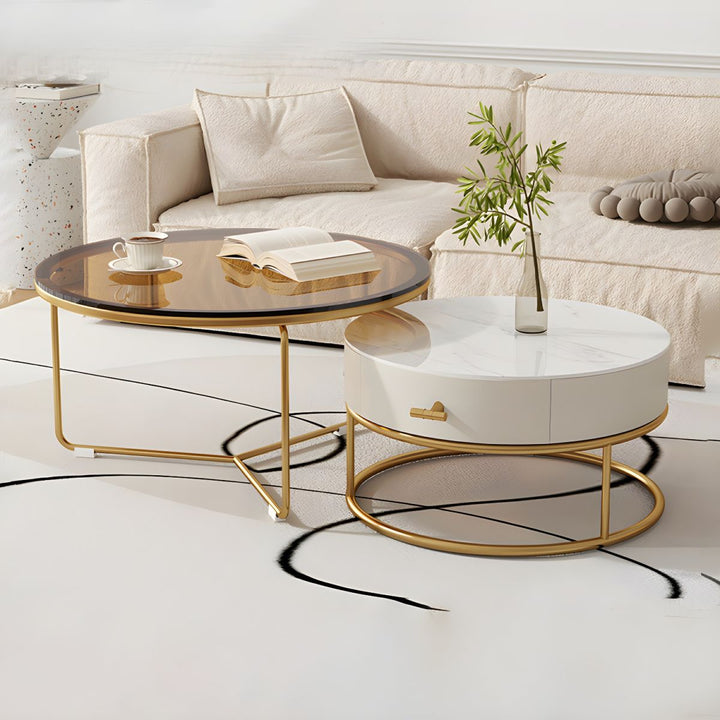 Darsh Stainless Steel Frame Coffee Table for Living Room