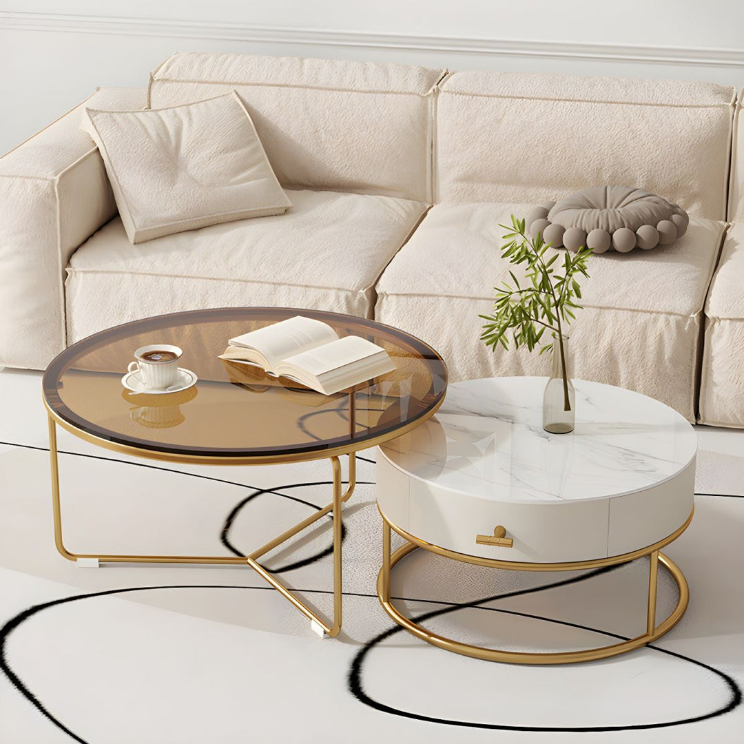 Darsh Stainless Steel Frame Coffee Table for Living Room