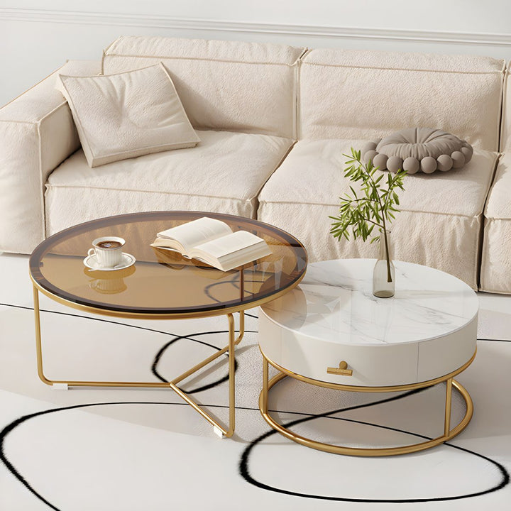 Darsh Stainless Steel Frame Coffee Table for Living Room