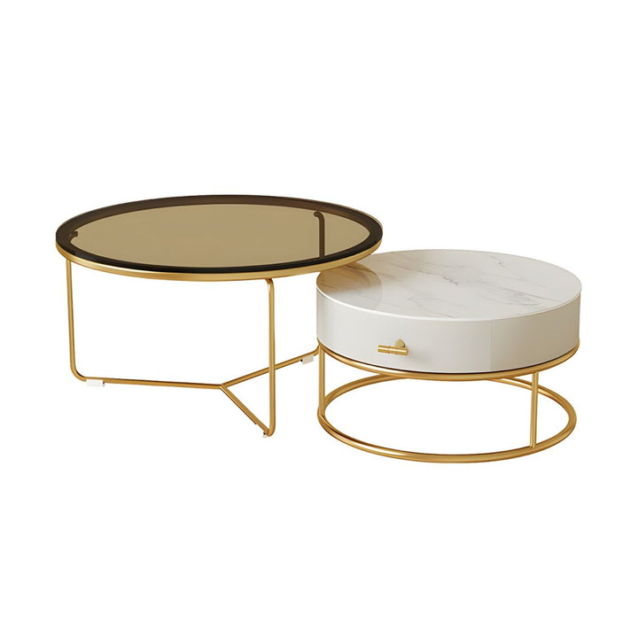 Darsh Stainless Steel Frame Coffee Table for Living Room