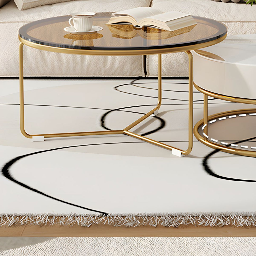 Darsh Stainless Steel Frame Coffee Table for Living Room