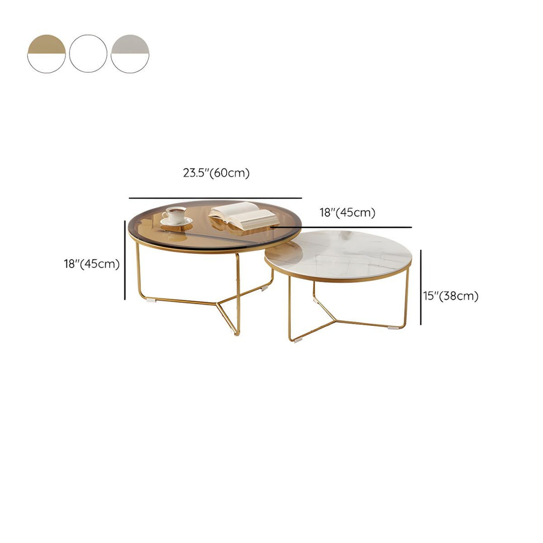 Darsh Stainless Steel Frame Coffee Table for Living Room