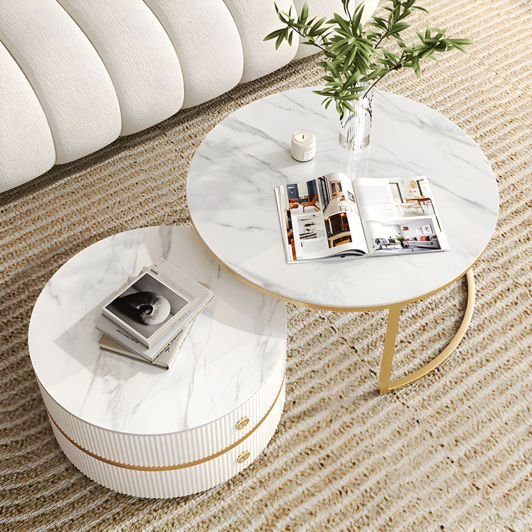 Devansh Stainless Steel Frame Coffee Table for Living Room