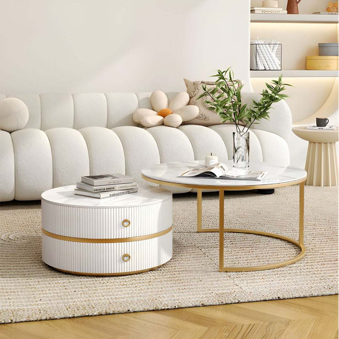 Devansh Stainless Steel Frame Coffee Table for Living Room