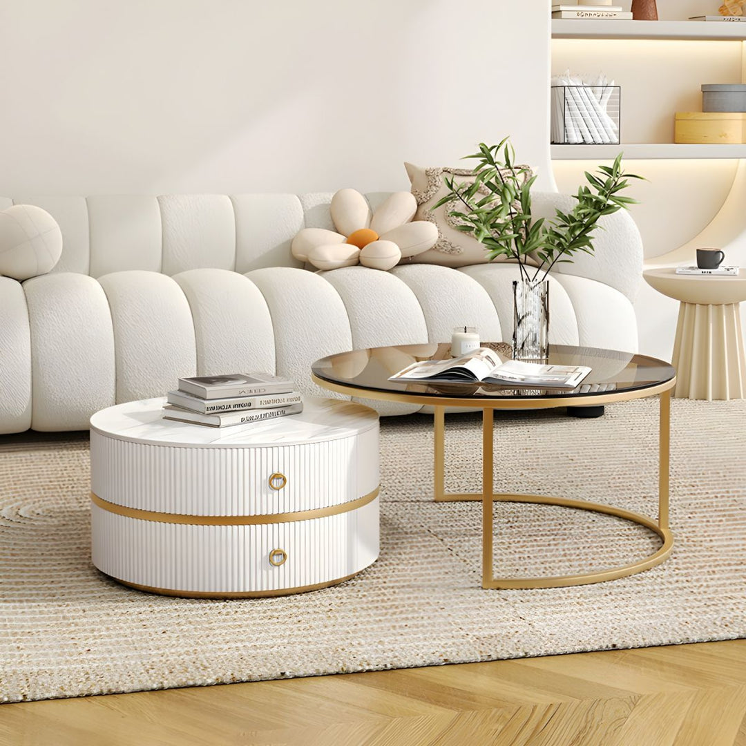 Devansh Stainless Steel Frame Coffee Table for Living Room