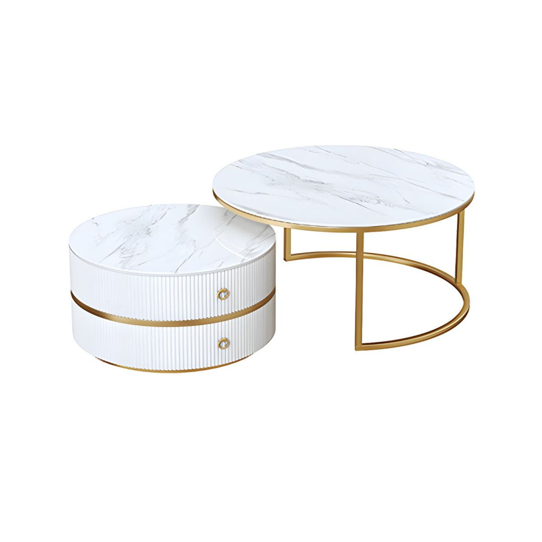 Devansh Stainless Steel Frame Coffee Table for Living Room