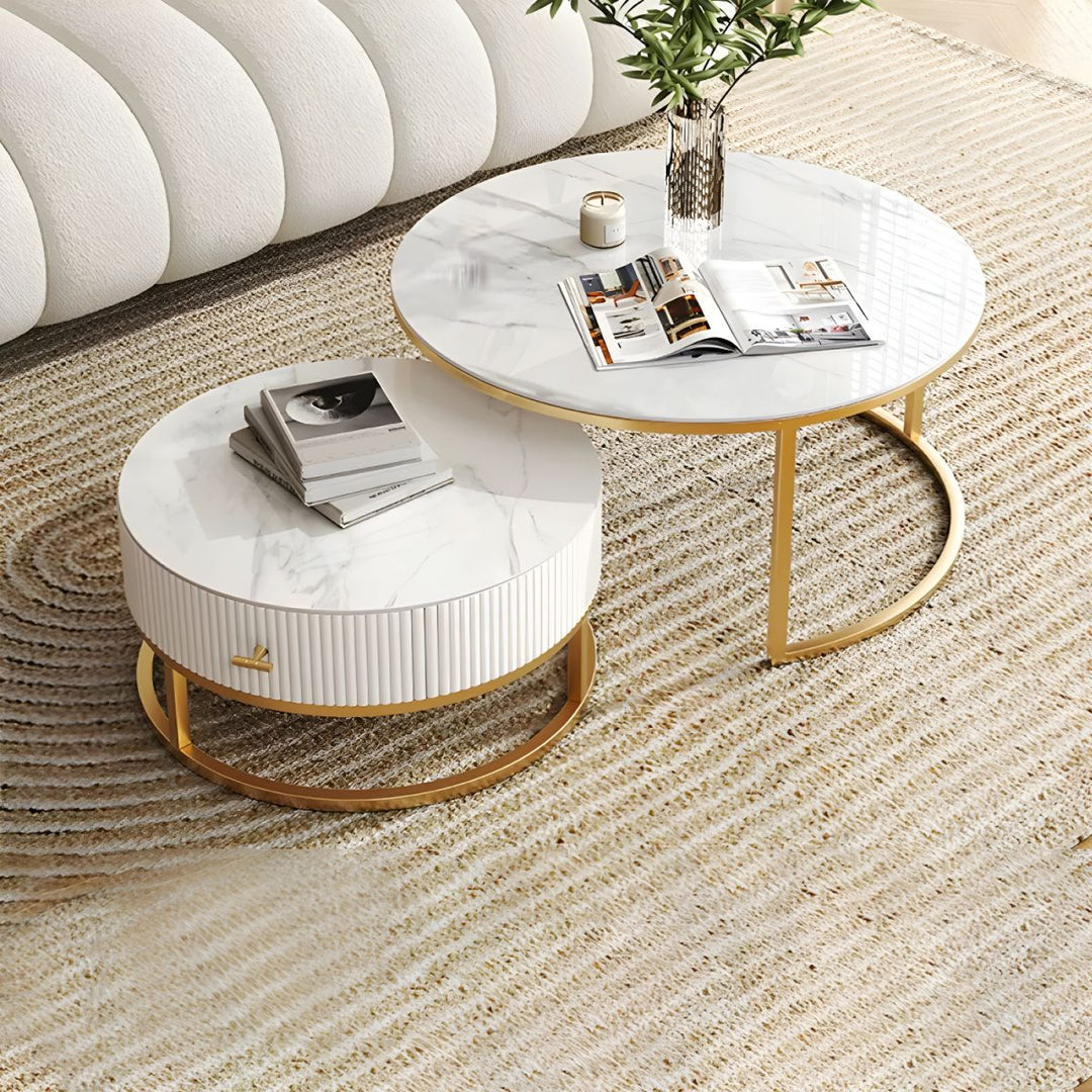 Devansh Stainless Steel Frame Coffee Table for Living Room