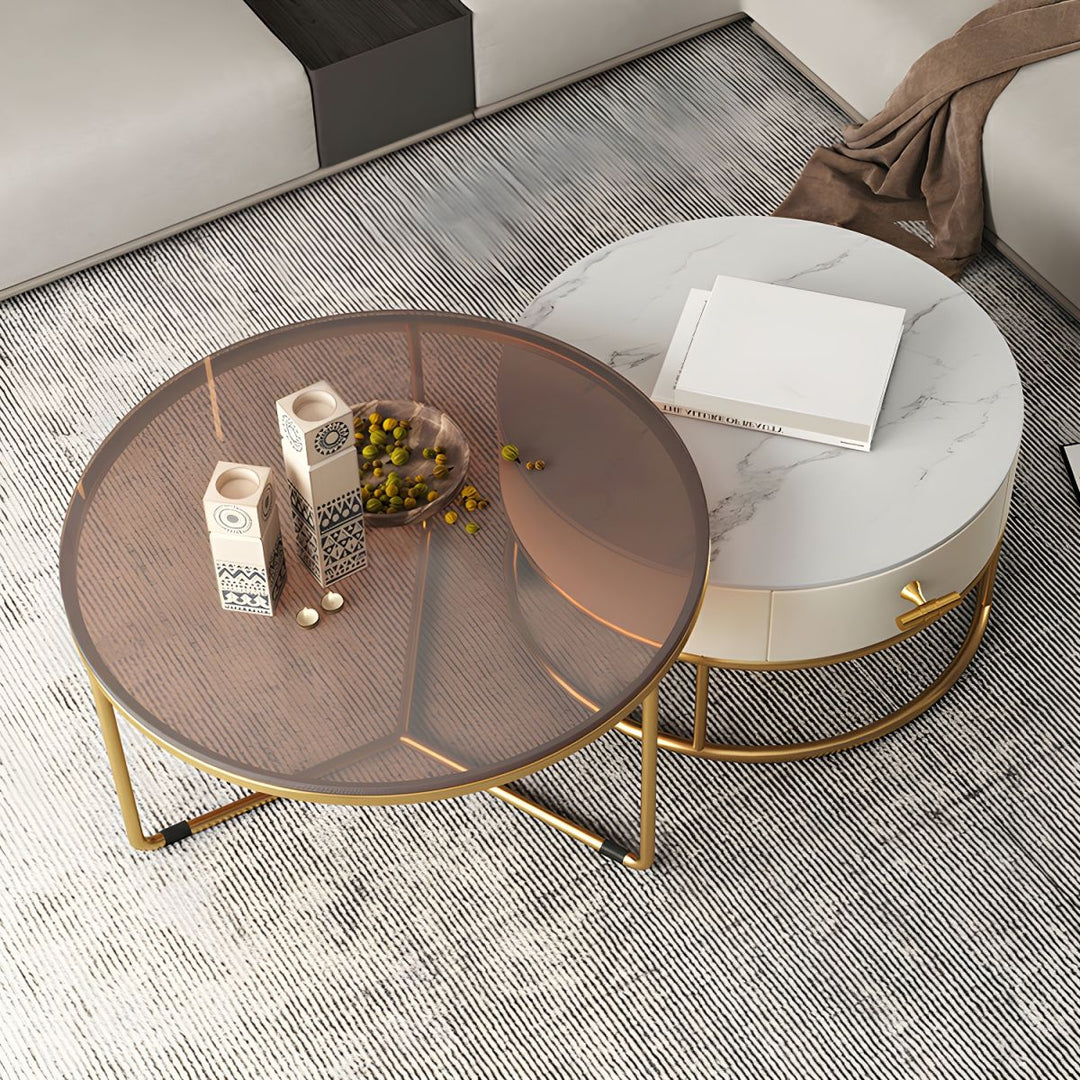 Eshan Stainless Steel Frame Coffee Table for Living Room