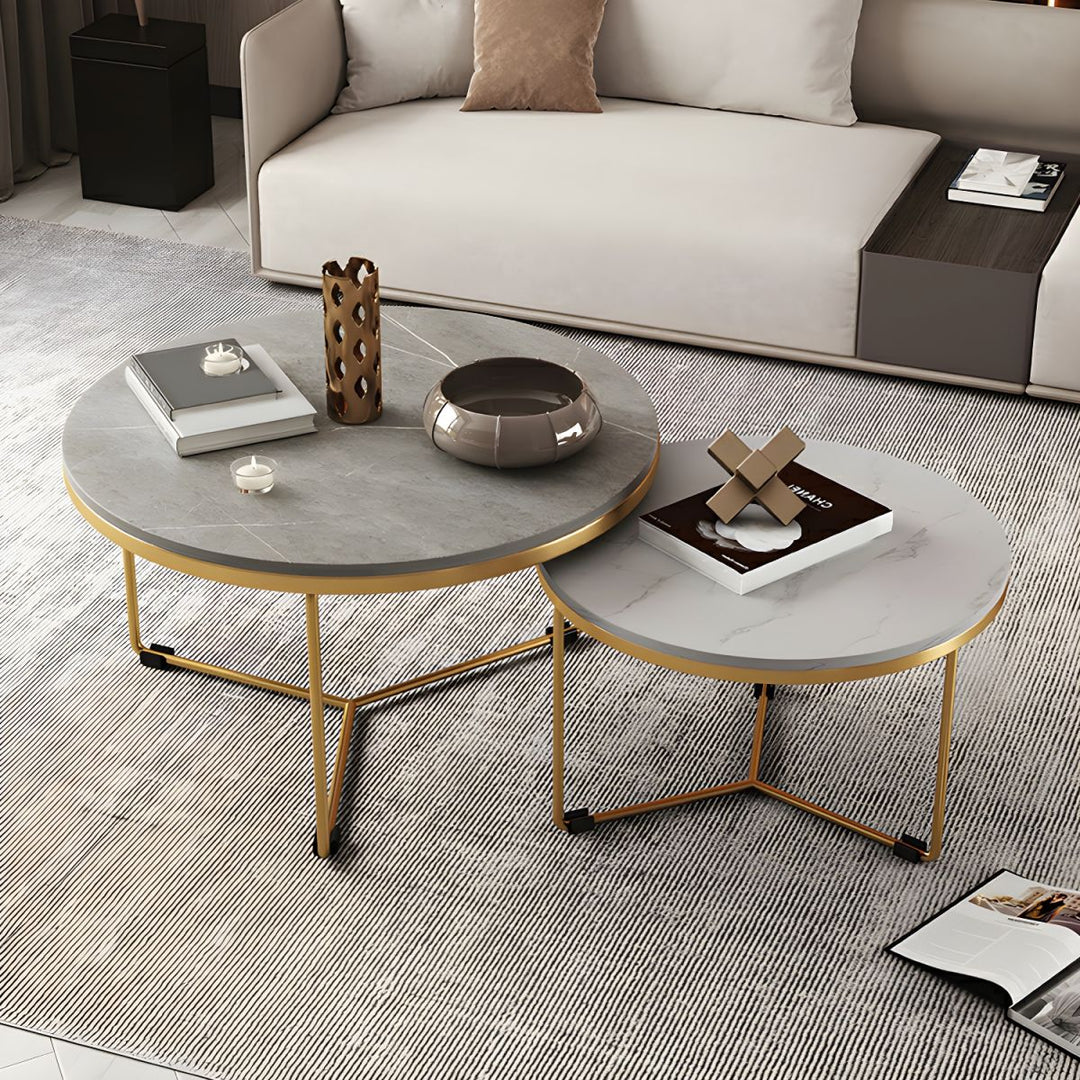Eshan Stainless Steel Frame Coffee Table for Living Room