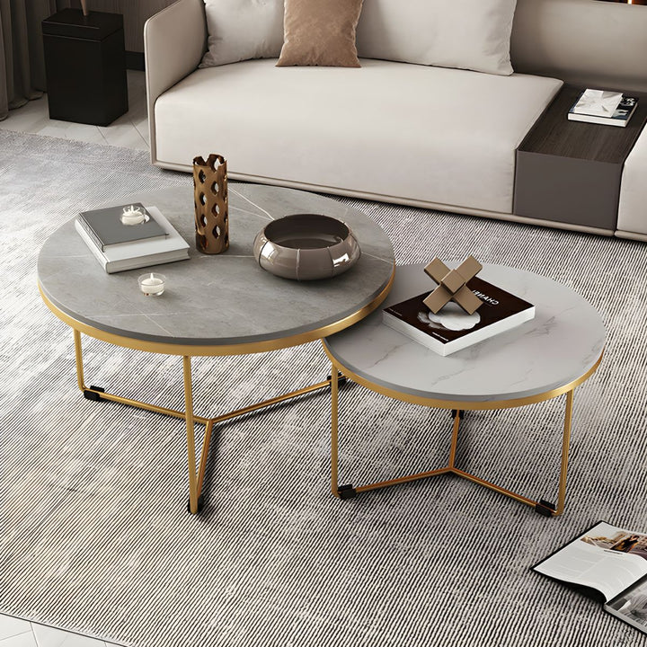 Eshan Stainless Steel Frame Coffee Table for Living Room