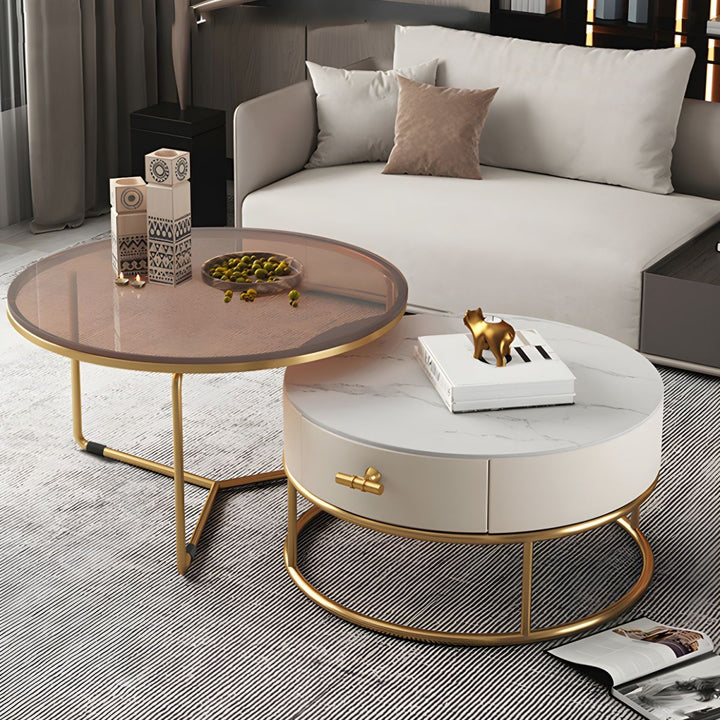 Eshan Stainless Steel Frame Coffee Table for Living Room