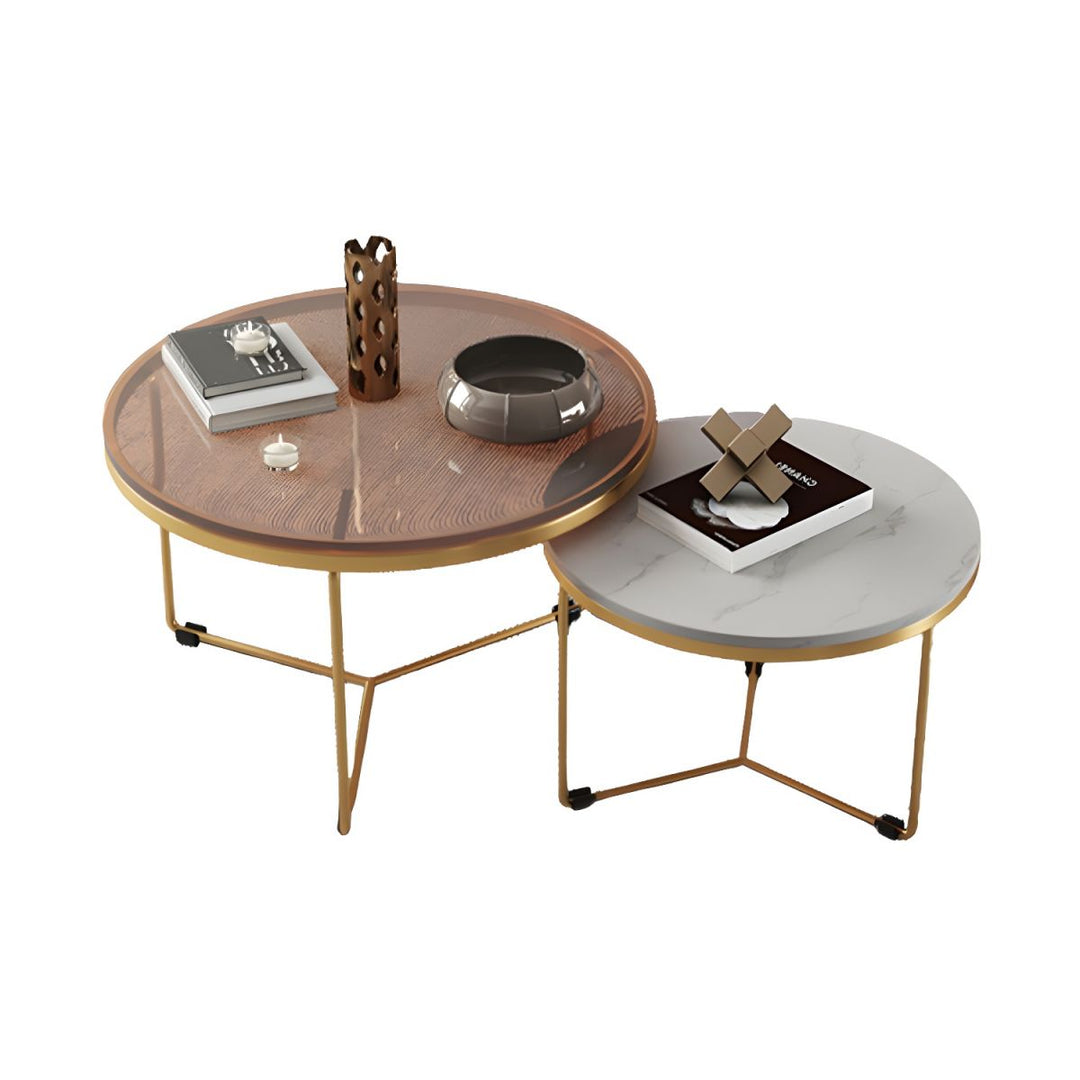 Eshan Stainless Steel Frame Coffee Table for Living Room