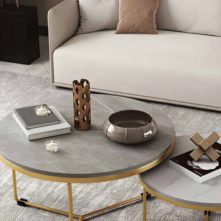 Eshan Stainless Steel Frame Coffee Table for Living Room