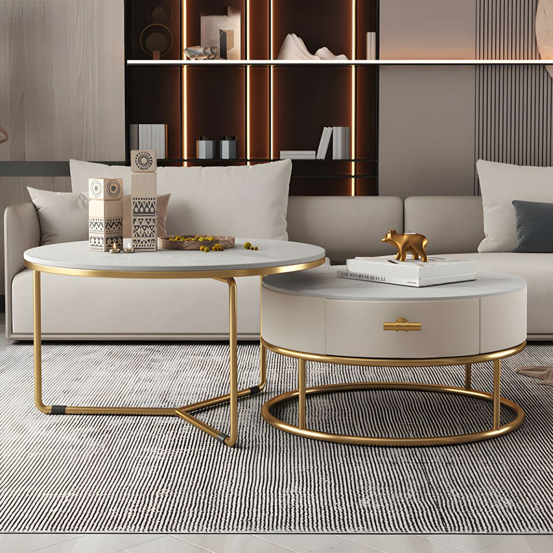Eshan Stainless Steel Frame Coffee Table for Living Room