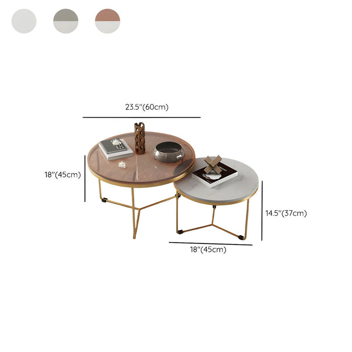 Eshan Stainless Steel Frame Coffee Table for Living Room